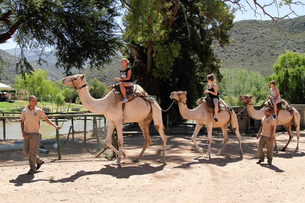 Wilgewandel Holiday Farm & Day Restaurant Oudtshoorn Exteriér fotografie