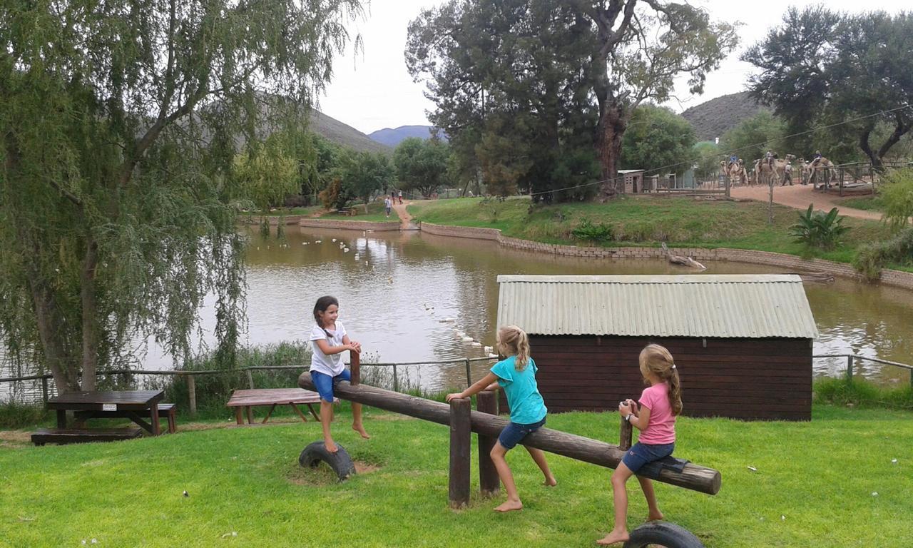 Wilgewandel Holiday Farm & Day Restaurant Oudtshoorn Exteriér fotografie