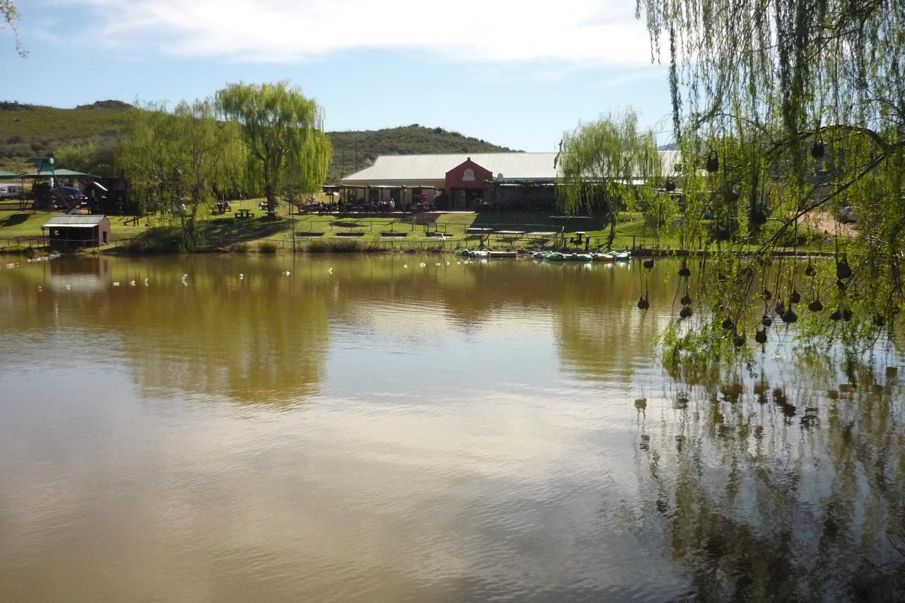 Wilgewandel Holiday Farm & Day Restaurant Oudtshoorn Exteriér fotografie
